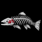 Steelhead Mechanical